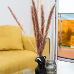 Gavas Viva City 11