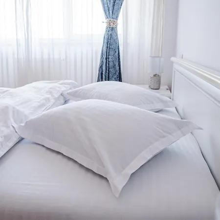 Gavas Viva City 11 * 클루지나포카