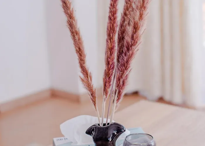 Appartamento Gavas Viva City 11 *